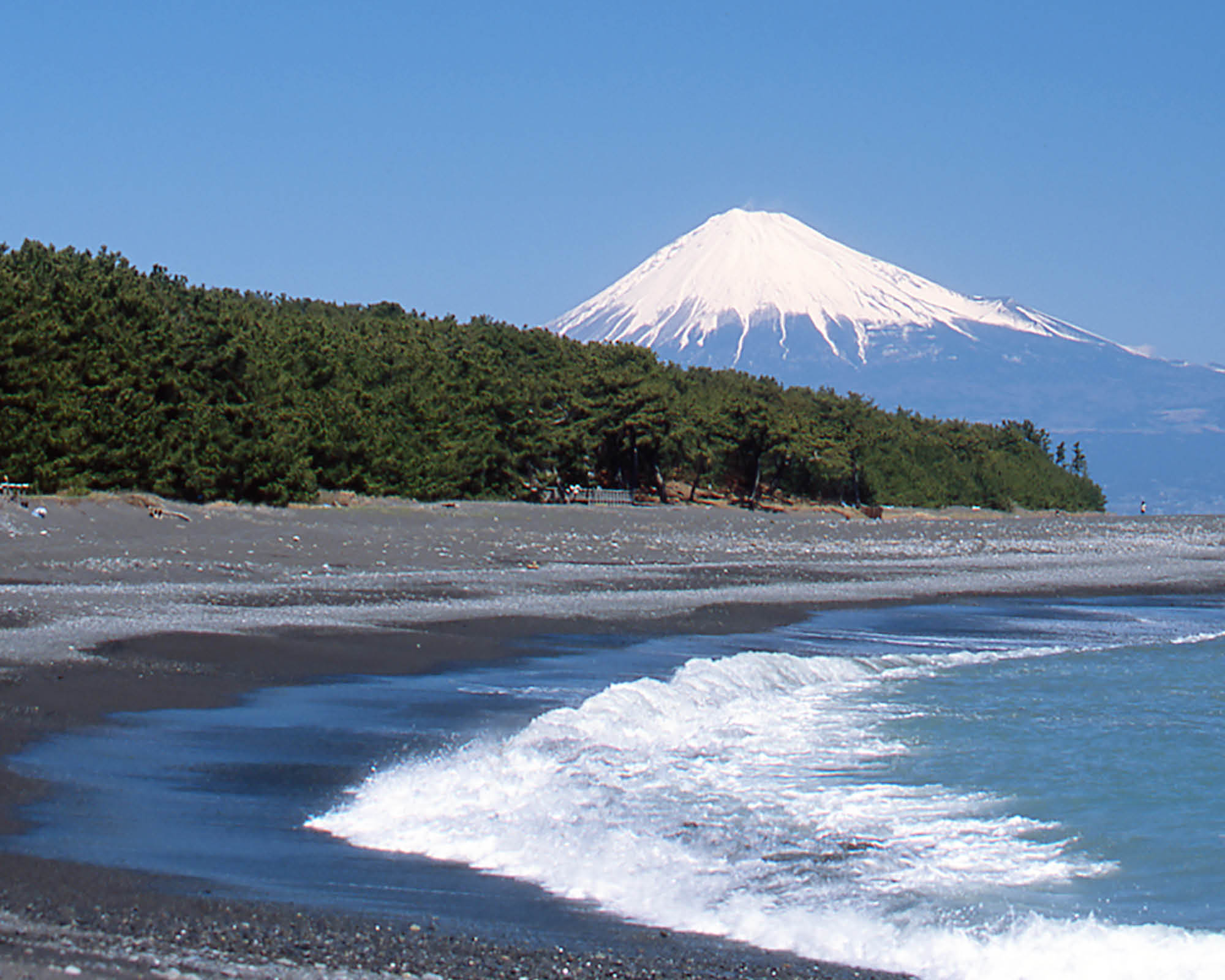https://www.shizuoka-cb.com/wp-content/uploads/2021/03/photo-top13.jpg