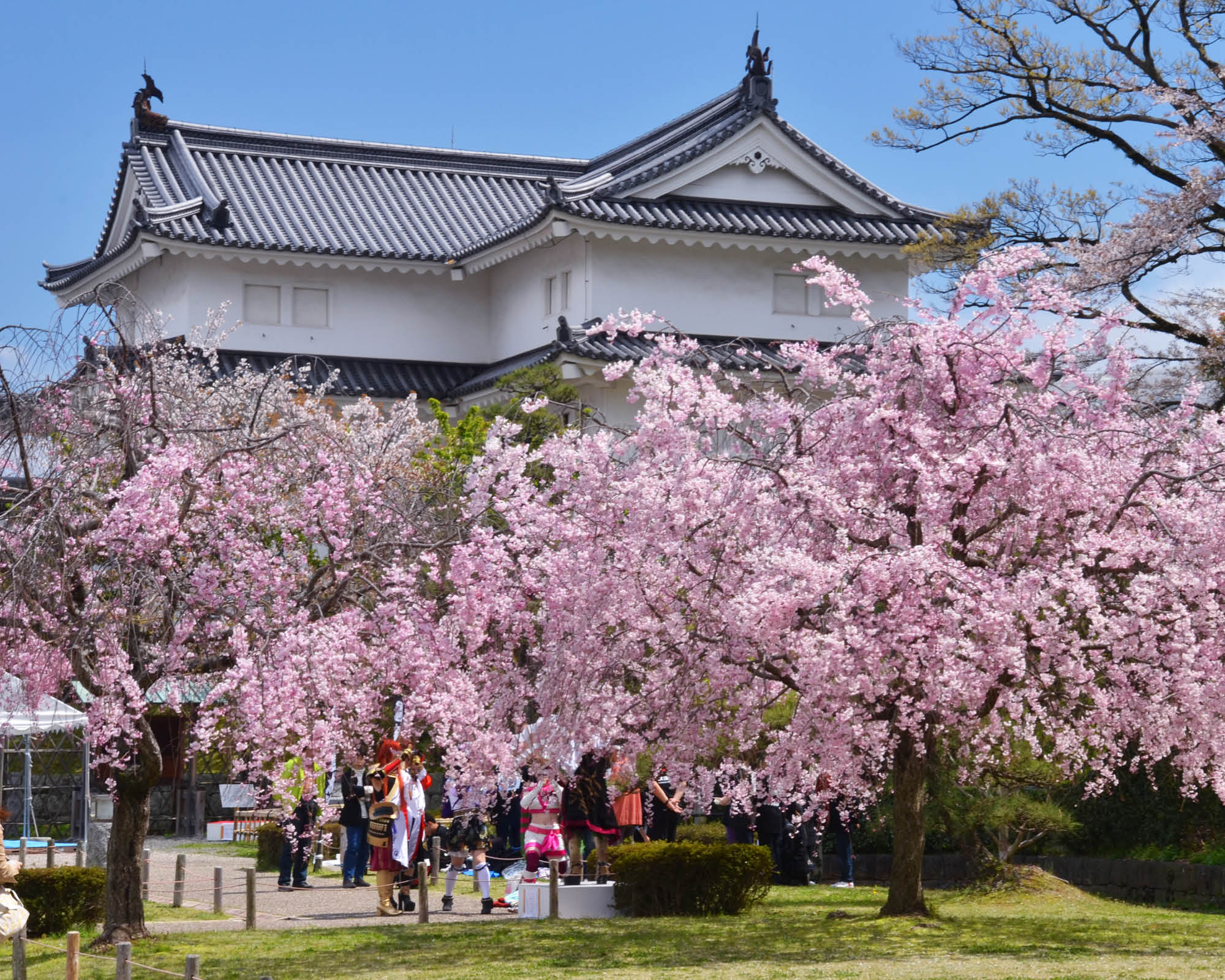 https://www.shizuoka-cb.com/wp-content/uploads/2021/03/photo-top14.jpg