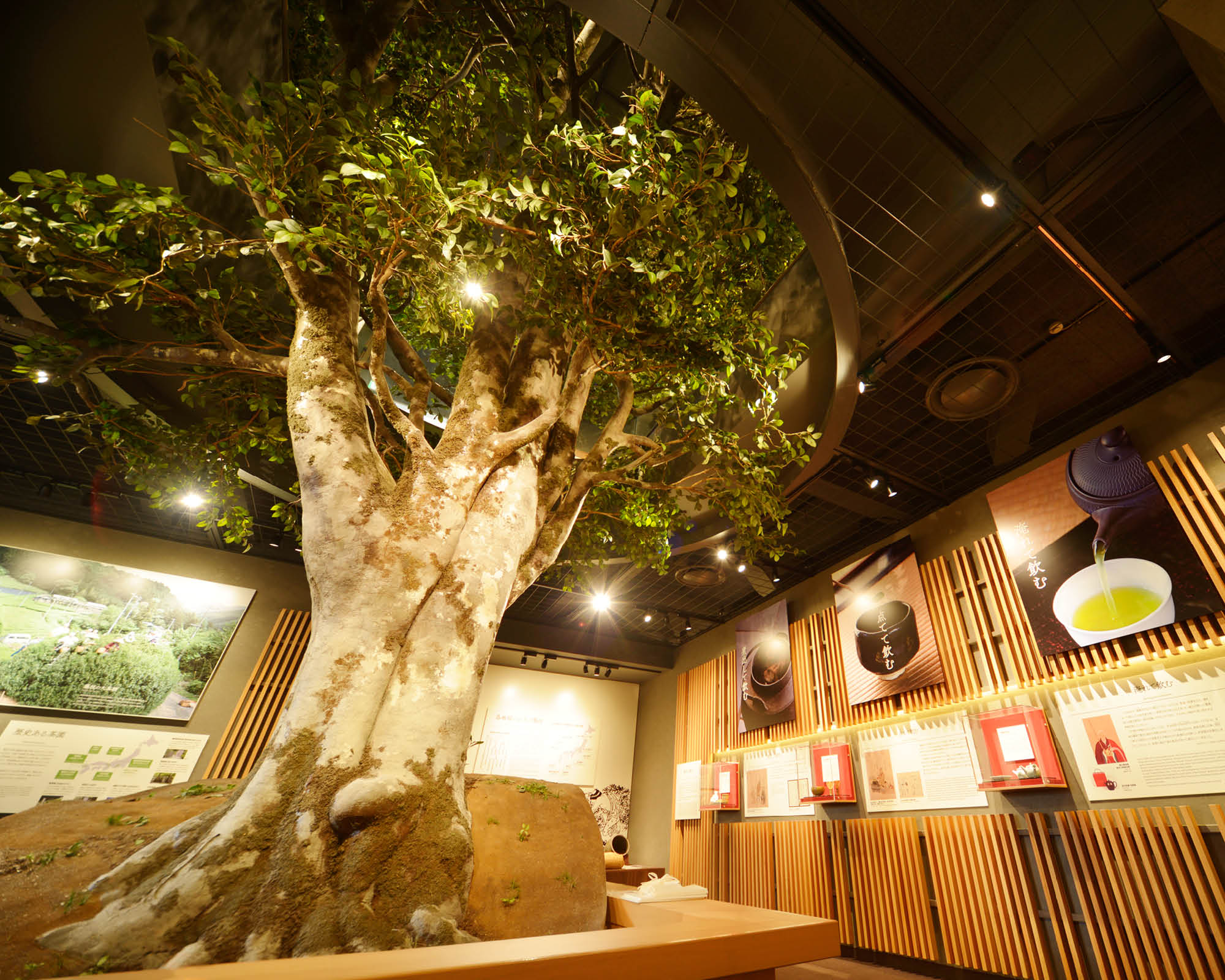 https://www.shizuoka-cb.com/wp-content/uploads/2021/03/photo-top15.jpg