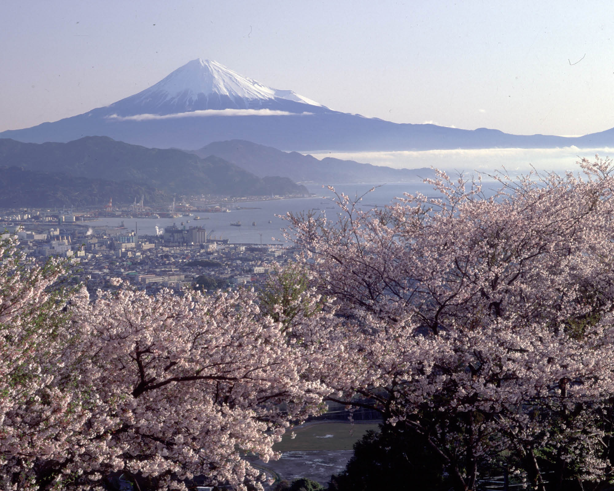 https://www.shizuoka-cb.com/wp-content/uploads/2021/03/photo-why13.jpg