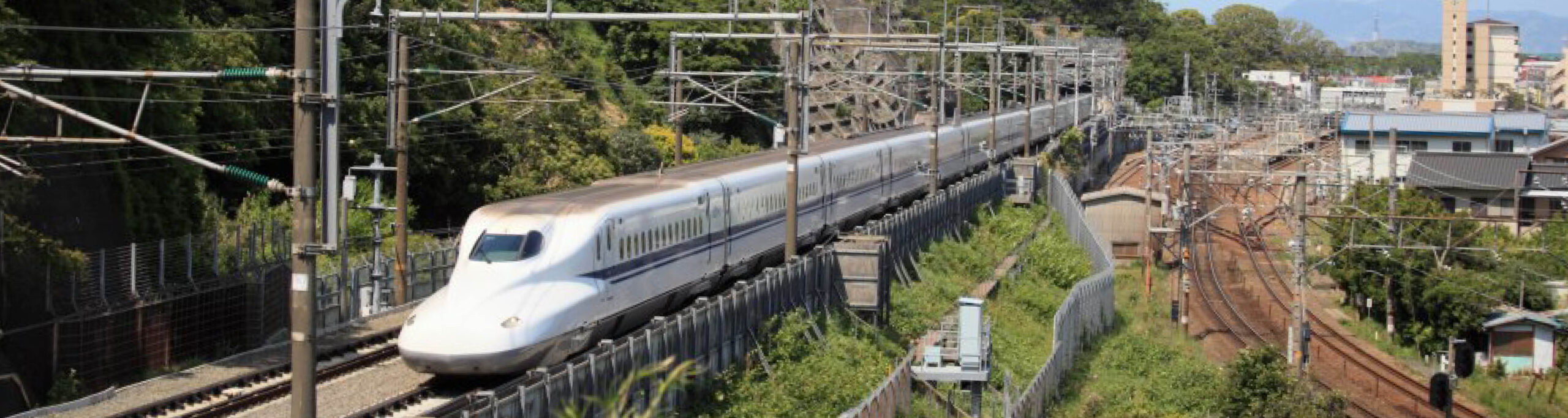 https://www.shizuoka-cb.com/wp-content/uploads/2021/03/photo-why4-scaled.jpg