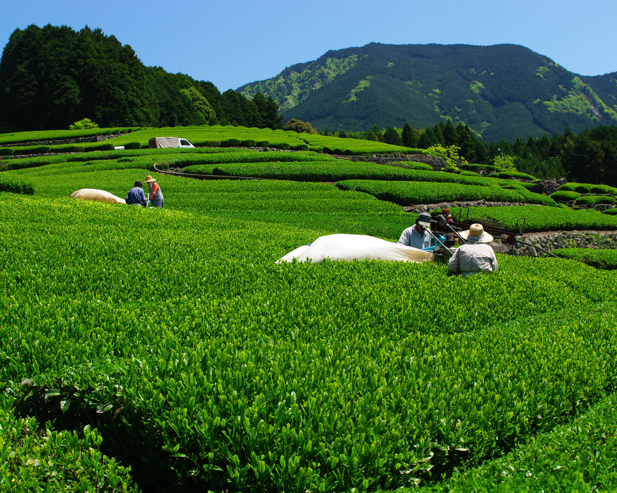 https://www.shizuoka-cb.com/wp-content/uploads/2021/04/photo-why10.jpg
