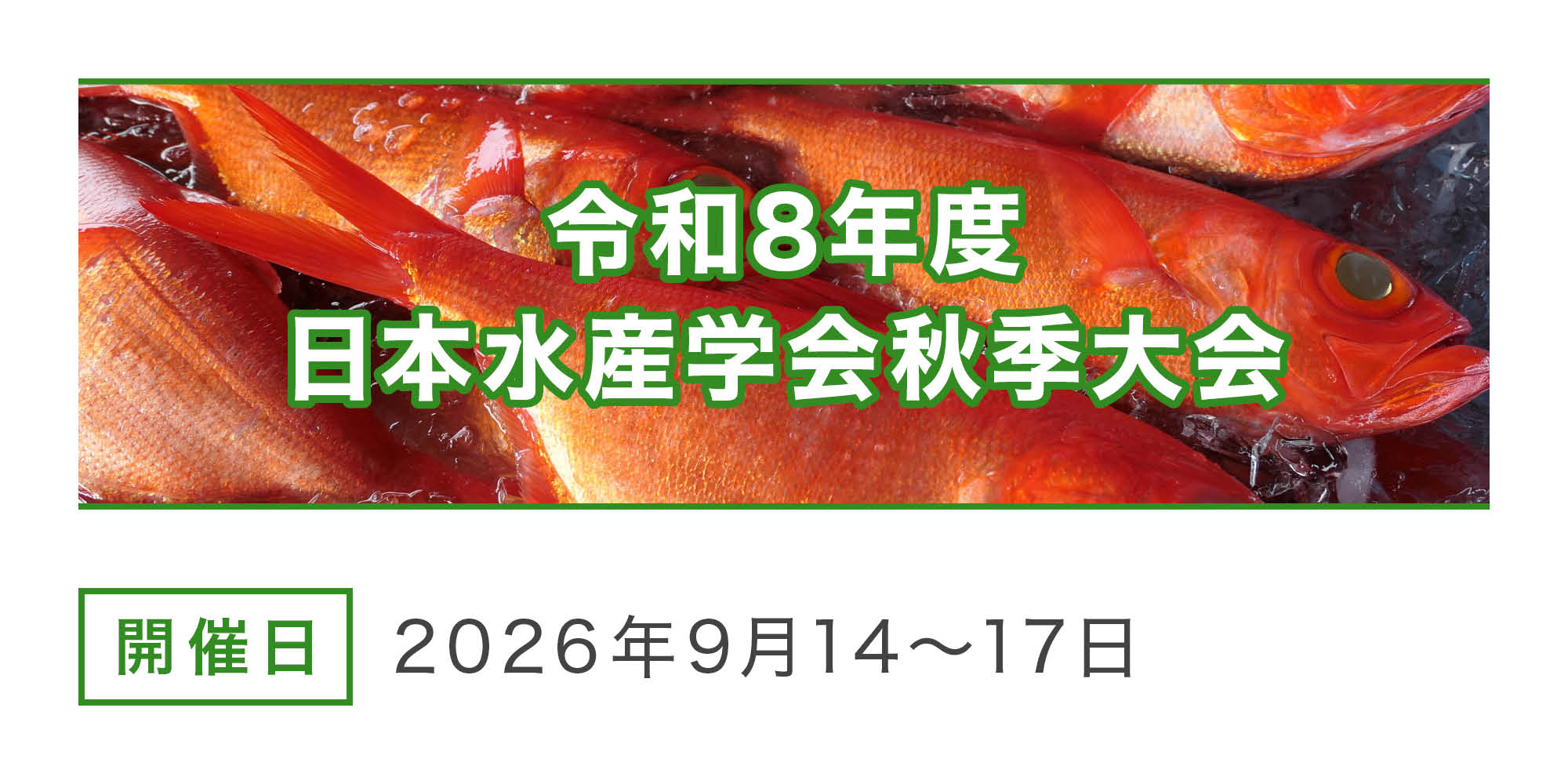 https://www.shizuoka-cb.com/wp-content/uploads/2026/08/event-banner_260810-1.jpg